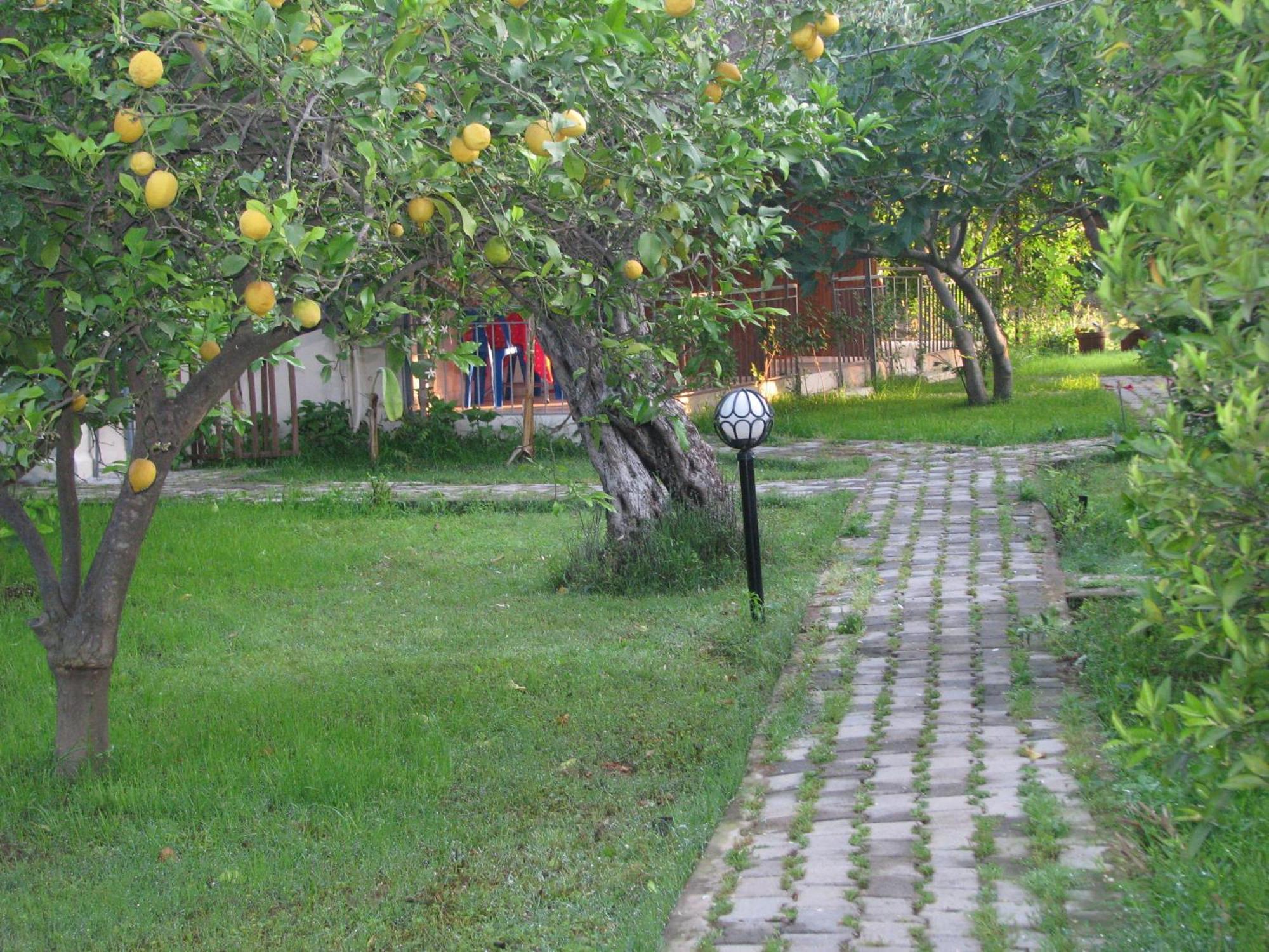 Yildiz Pension Bungalows Cirali Exterior photo